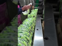 Uniconcern fraldas de bebé moles